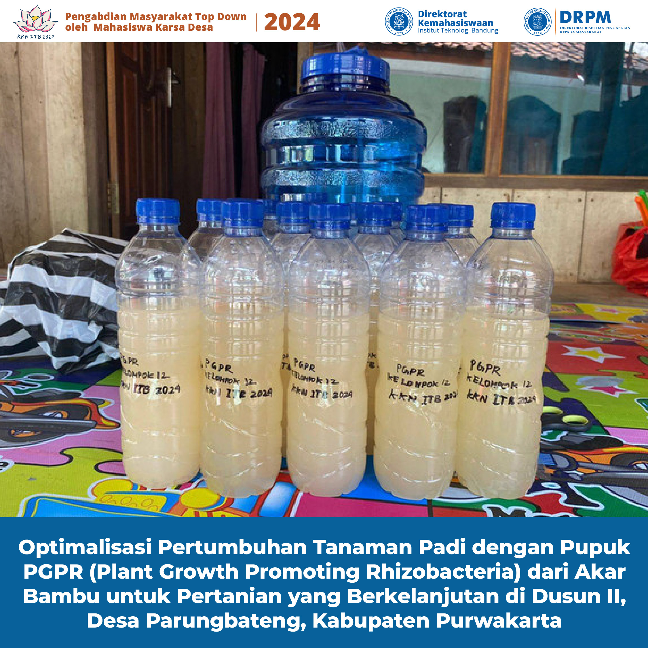 Optimalisasi Pertumbuhan Tanaman Padi dengan Pupuk PGPR (Plant Growth Promoting Rhizobacteria) dari Akar Bambu untuk Pertanian yang Berkelanjutan di Dusun II, Desa Parungbateng, Kabupaten Purwakarta
